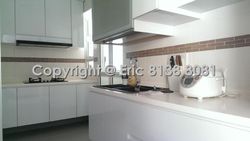 Blk 268C Punggol Field (Punggol), HDB 4 Rooms #157553442